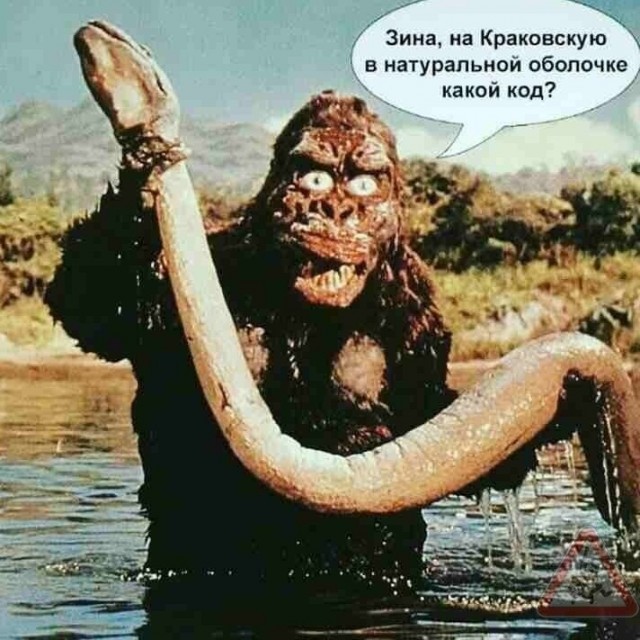 Юмор в картинках и без 21.11.2022