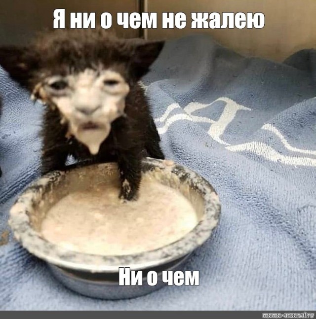 А сколько баллов у тебя?