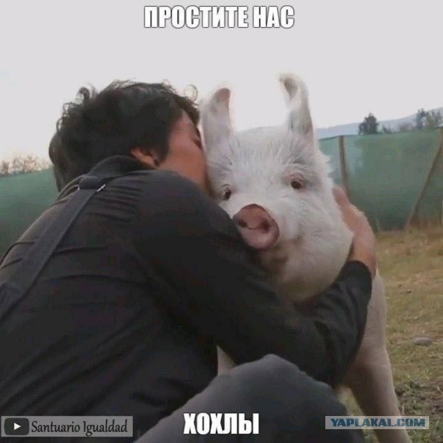 Прикольные и просто красивые картинки 31.01.2023