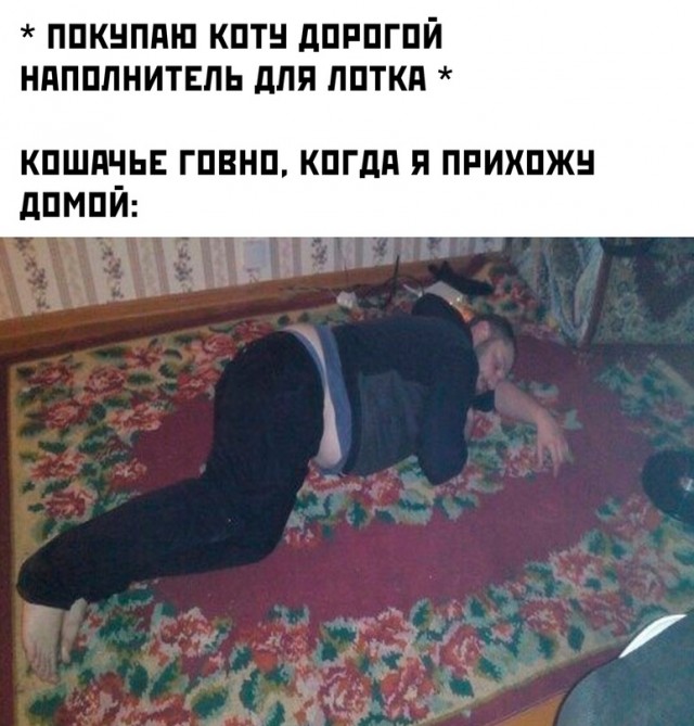 Весёлый полтишок 30.03.23