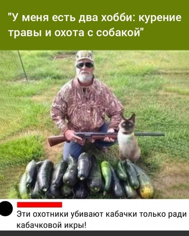 Победная поступь идиотизма по планете – том 13