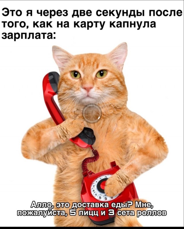 Всего понемногу.