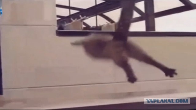 Нарезка с уникумами