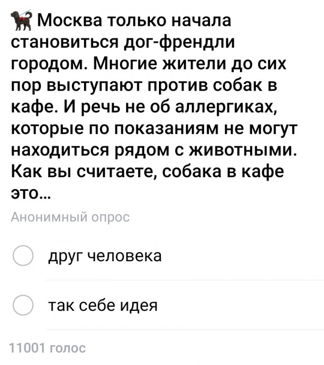 А вот и яркий пример того, что не все готовы находиться рядом не то, что в кафе, даже просто в очереди с чужими собаками.