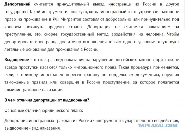 Подростков из азербайджанской банды треш-блогеров выдворят из России
