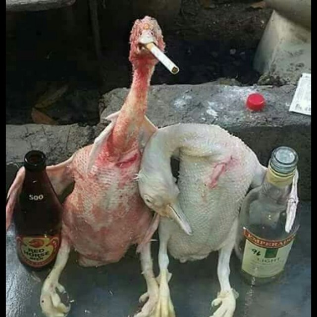 Гусь вялый