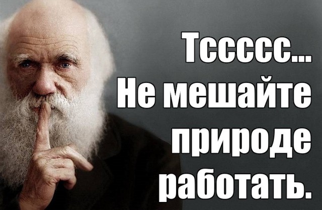 Слабоумие и отвага во всей красе…