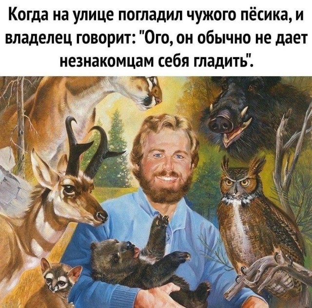 Так себе картинки 24.04.24