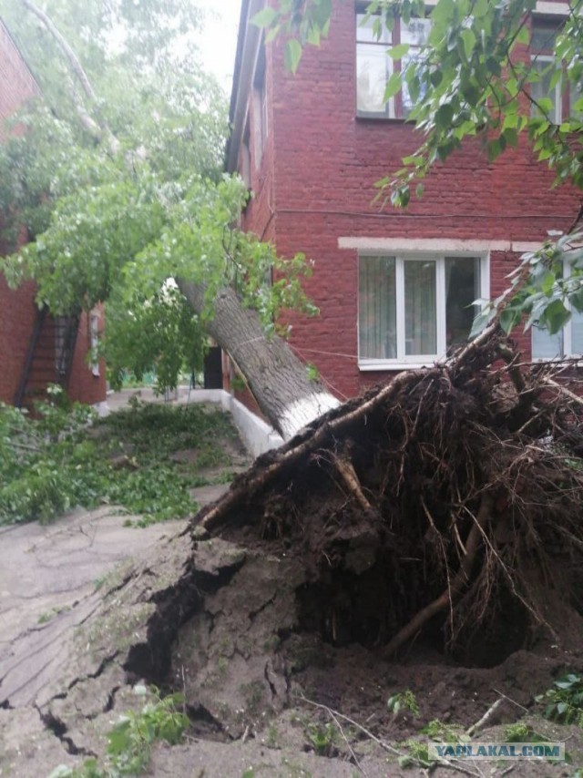Москвичи, если думаете, что с погодой не повезло именно вам, то...