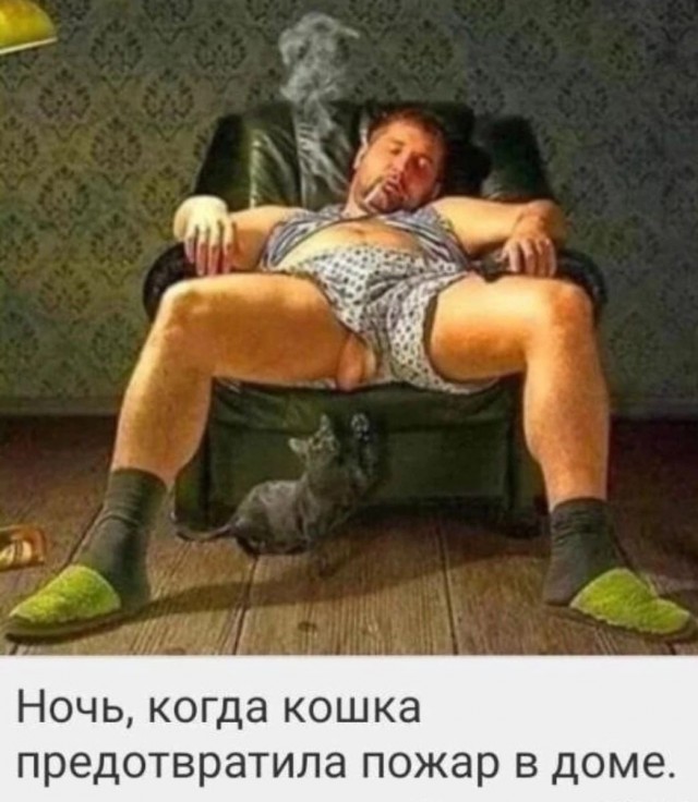 Всего понемногу. От 20.05.2024