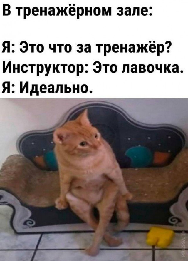 Прикольные и просто красивые картинки 28.06.2024