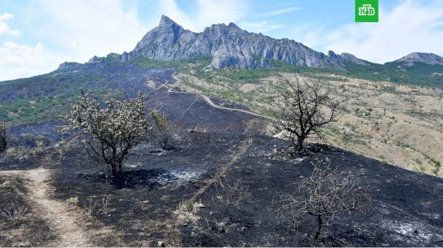 В Крыму нашли виновника природного пожара в Коктебеле