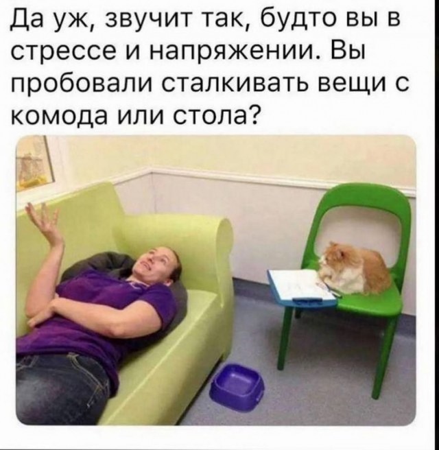 Всего понемногу. От 07.08