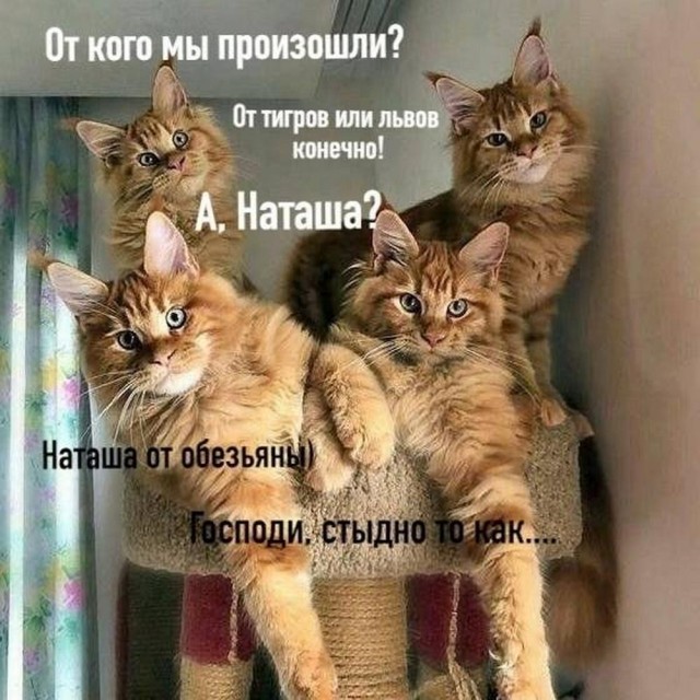 42 пятничных картинки 13.09.2024