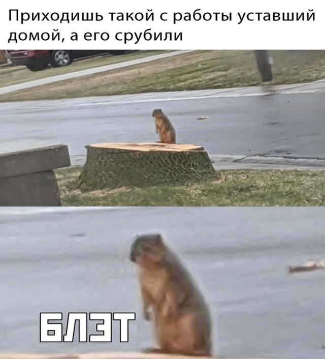 Так себе картинки 03.10.24