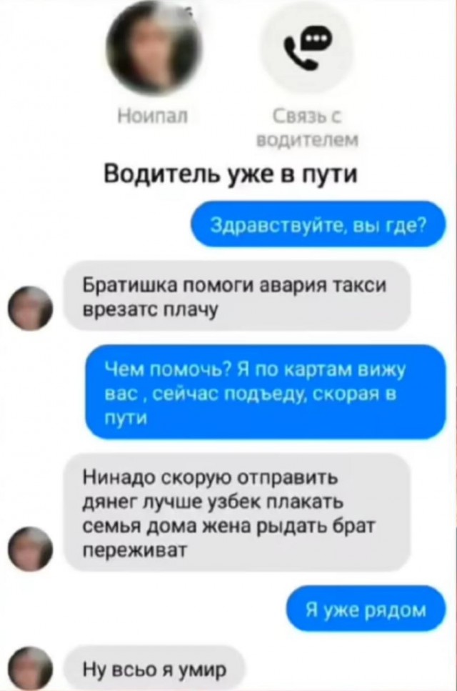 Всего понемногу. От 01.11.2024