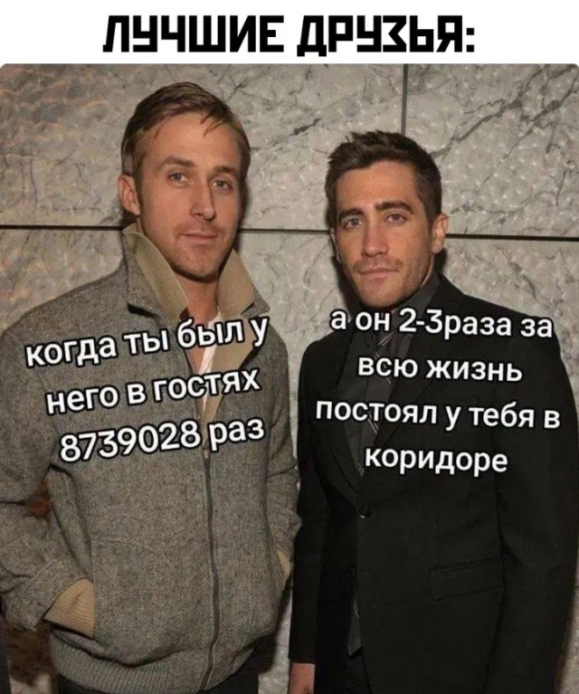 Весёлый полтишок 22.11.24
