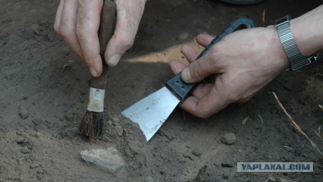 Саркофаг, найденный в церкви Святого Николая, может быть могилой «Санты Клауса»
