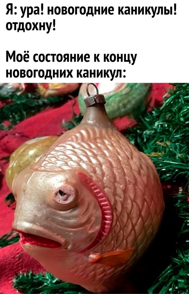 Прикольные и просто красивые картинки 07.01.2025