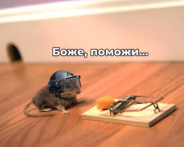 Картинки, своеобразного юмора