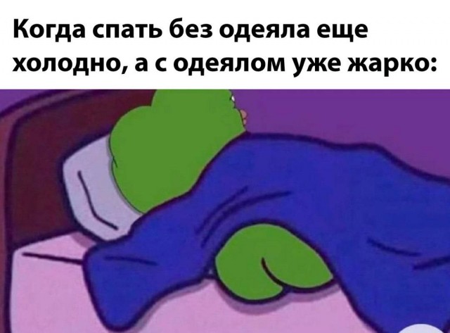 Веселые картинки в пятницу (11.04)