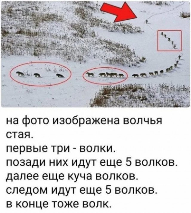 Занятные картинки с надписями и шашлыки на майские