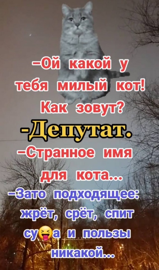 Смешные картинки с надписями и планы на лето 2025
