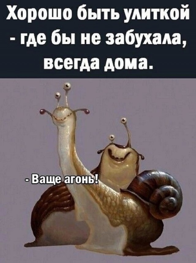 Так себе картинки 28.07.25