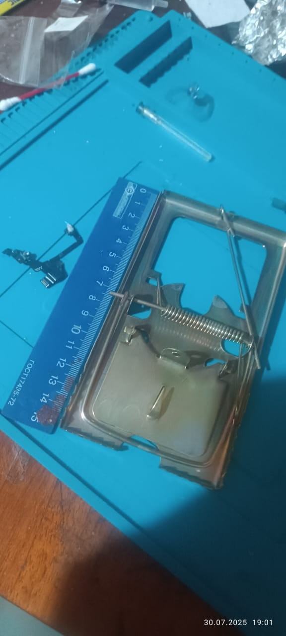 На что крыс нынче ловить?