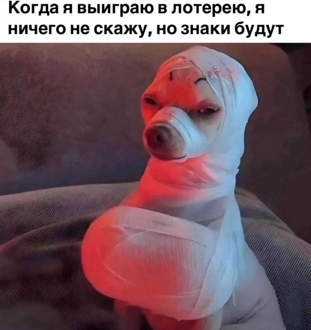 Быстрая деградация
