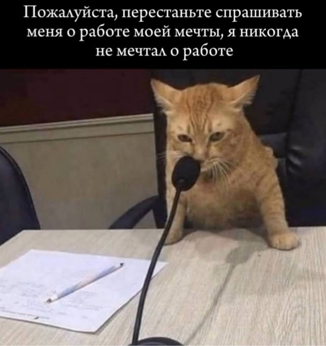 Так себе картинки 26.09.25