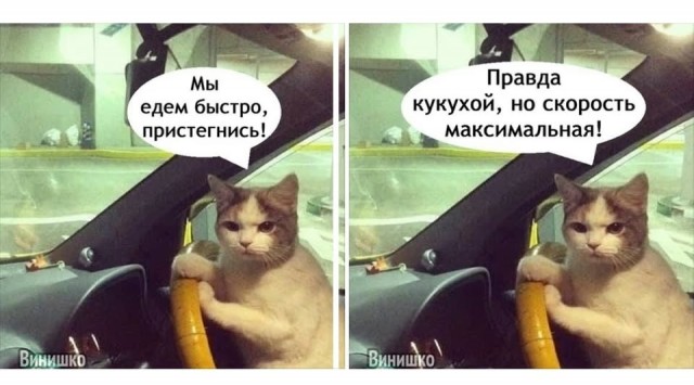 Картинки для деградации 57 (разной степени свежести)