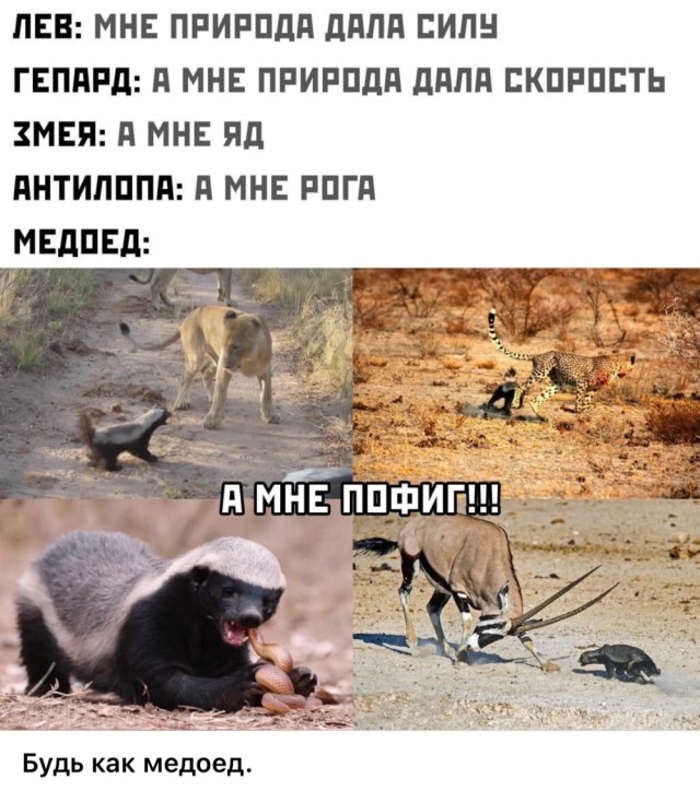 Картинки для деградации 62 (разной степени свежести)