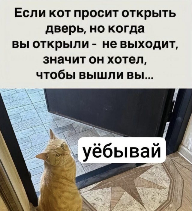 Шерстяные пидо.... братья наши меньшие