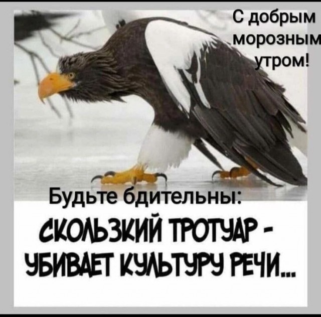 Картинки для деградации 109 (разной степени свежести)