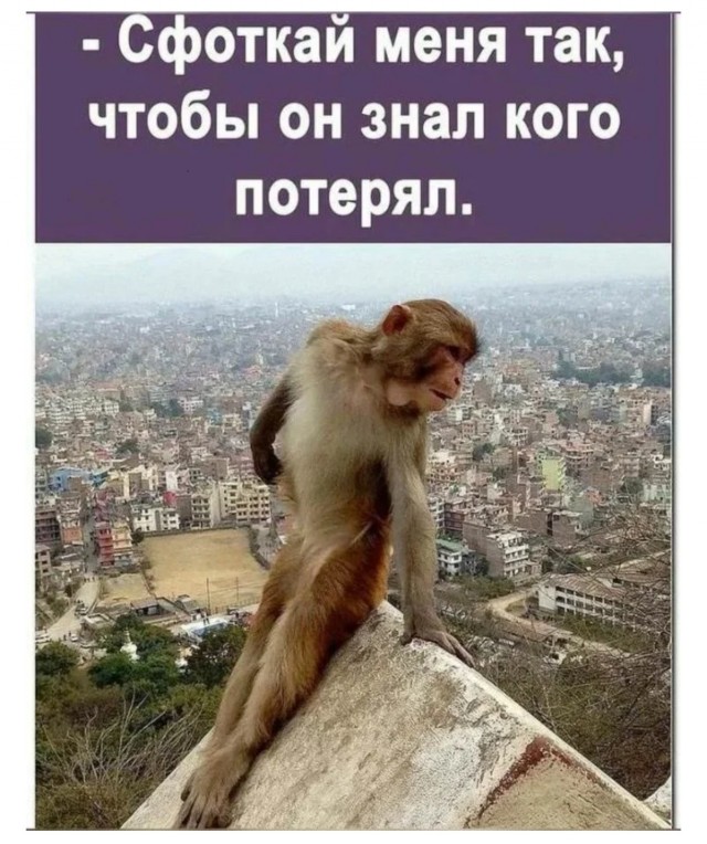 Немного е*анины на среду
