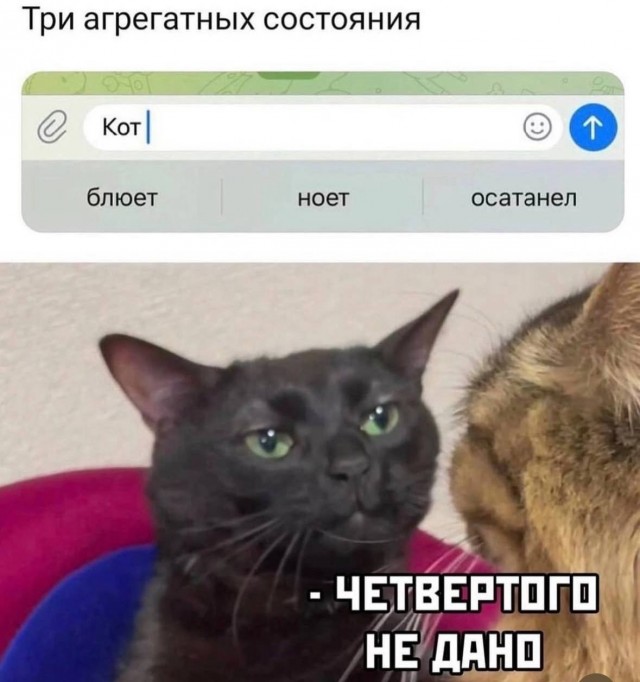Картинки для деградации 140 (разной степени свежести)