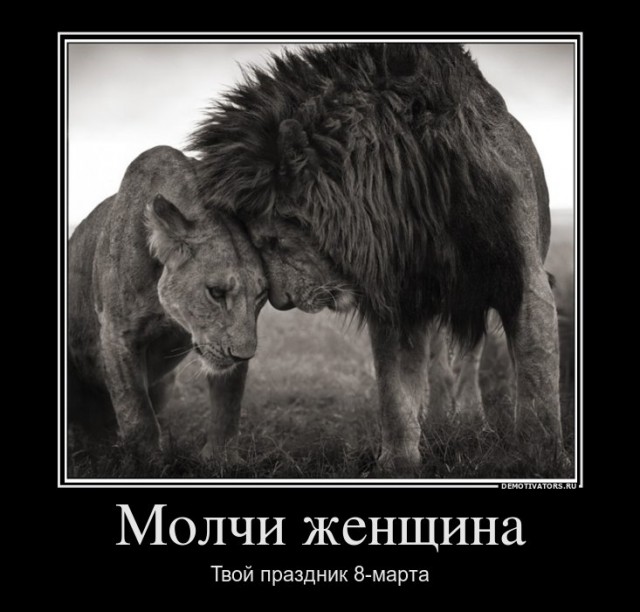 Склад баянов