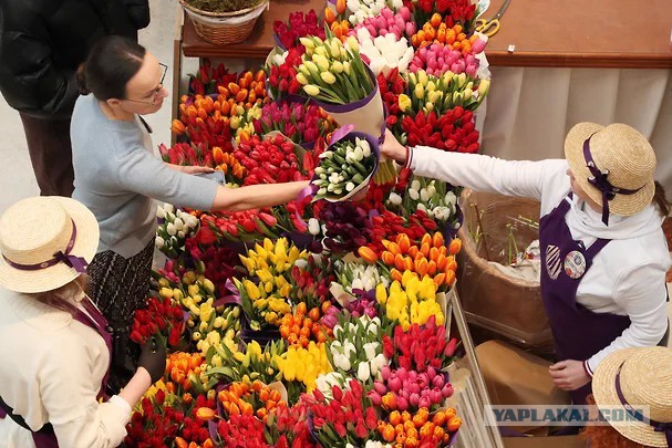 Снижение цен на тюльпаны не помогло цветочным магазинам заработать 8 Марта