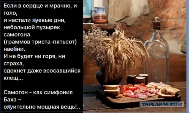 24 марта - Международный день борьбы с депрессией