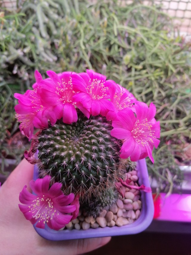 Поздравляю всех причастных с праздником!