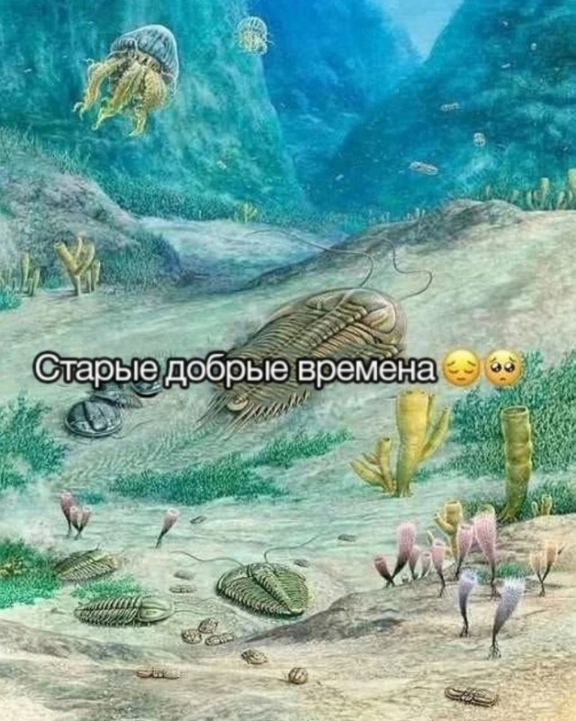 Среды картинки