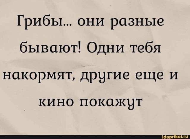Городские древесные грибы