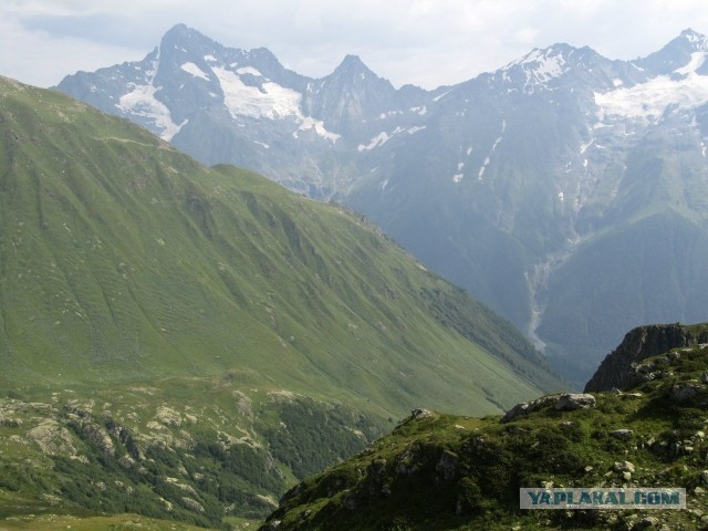 В горах. Абхазия.