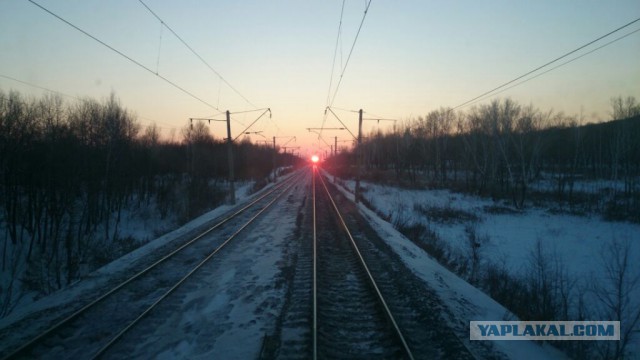 Победители фотоконкурса