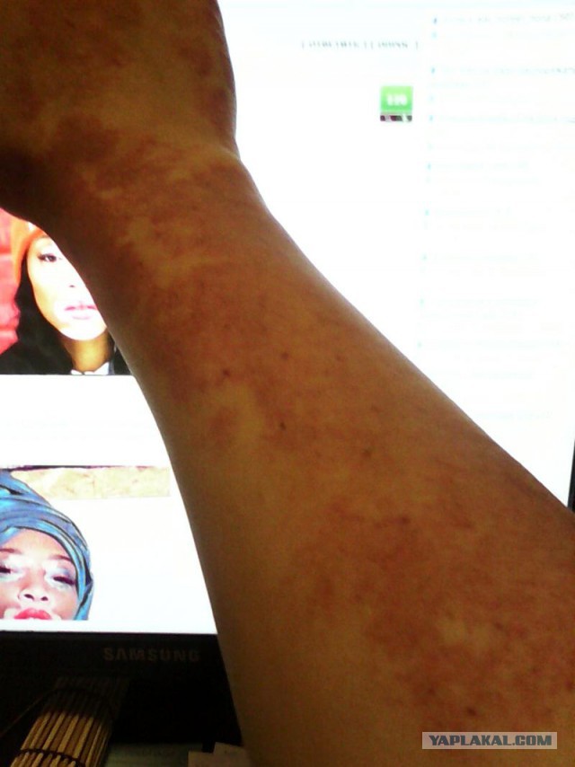 Шантель Винни