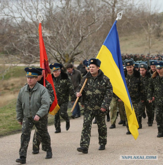 Зреет бунт украинской армии
