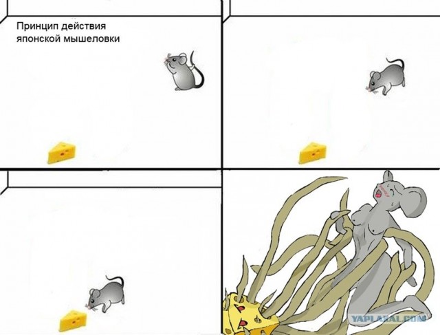 Принцип действия японской мышеловки
