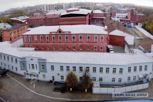 Тамбовский волк тебе товарищ...