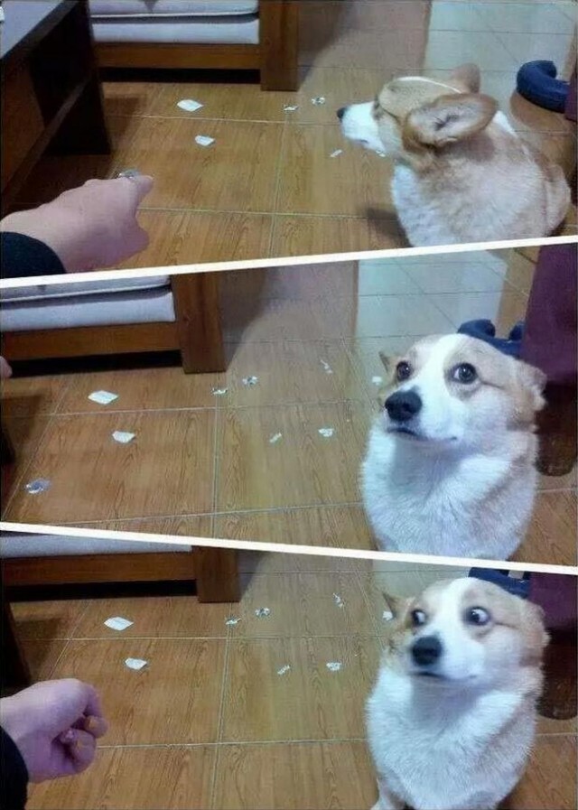 "Это не то, что ты подумал!"